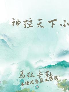 神控天下小说