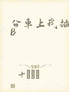 公车上我插上骚B