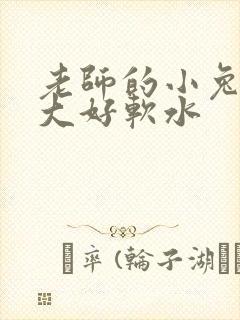 老师的小兔子好大好软水