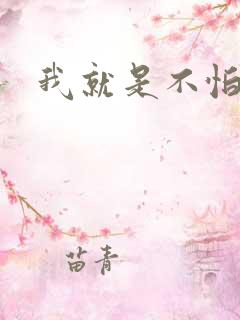 我就是不怕小说