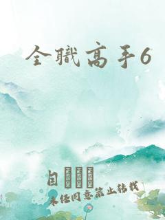 全职高手6