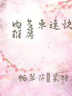 肉多车速快的书推荐