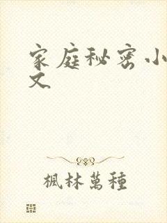 家庭秘密小说全文