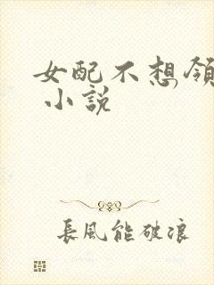 女配不想领便当 小说