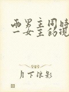 两男主同时拥有一女主的现言