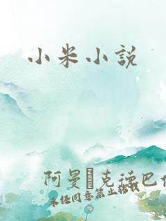 小米小说