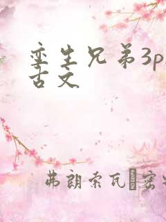 孪生兄弟3ph古文