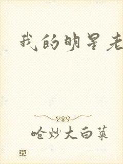 我的明星老豆