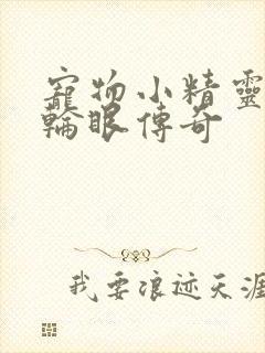 宠物小精灵之写轮眼传奇