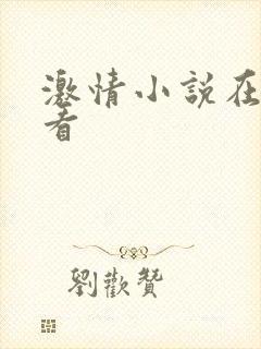 激情小说在线观看