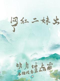 网红二妹出啥事了