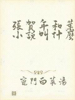 张贺年和叶繁姿小说叫什么名字