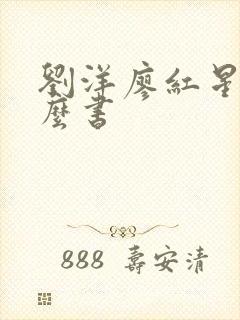 刘洋廖红星是什么书