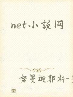 net小说网