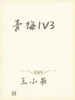 青梅1V3