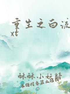 重生之白流苏txt