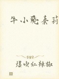 牛小飞秦莉莉