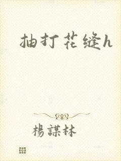 抽打花缝h