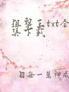 狙击王txt全集下载