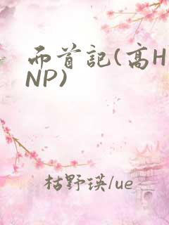 面首记(高H NP)