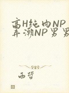 高H纯肉NP 弄潮NP男男