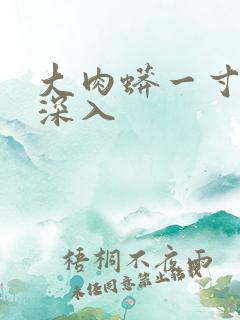 大肉蟒一寸寸地深入