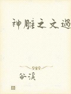 神雕之文过饰非