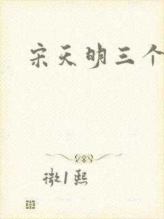 宋天明三个婆娘