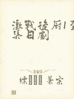 激战后厨1至5集日剧