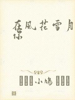 在风花雪月里等你