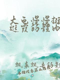 大龟慢慢挺进王进霞的体内