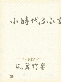 小时代3小说