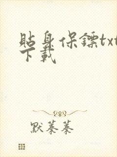 贴身保镖txt下载