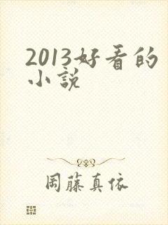 2013好看的小说