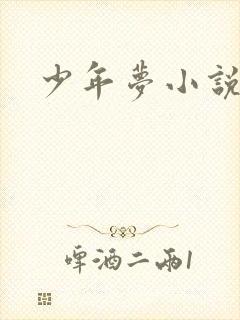 少年梦小说