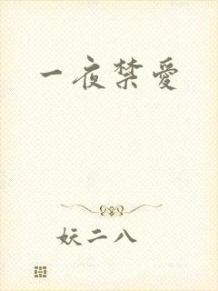一夜禁爱