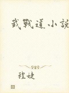 武战道小说