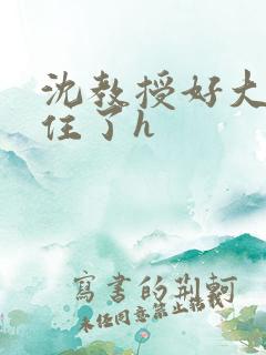 沈教授好大含不住了h