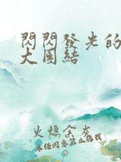 闪闪发光的小说大团结