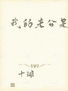 我的老公是冥王