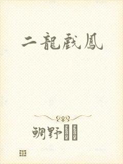 二龙戏凤