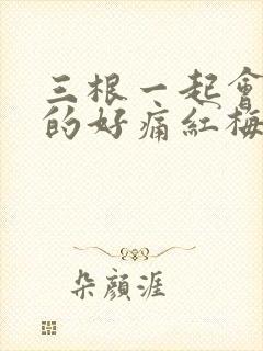 三根一起会坏掉的好痛红梅