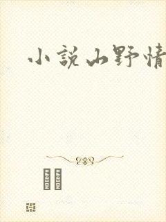 小说山野情债