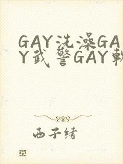 GAY洗澡GAY武警GAY软件