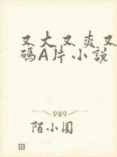 又大又爽又黄无码A片小说