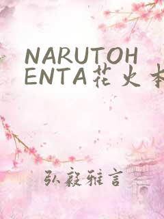 NARUTOHENTA花火本子