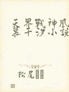 天界战神凰九夜慕千汐小说