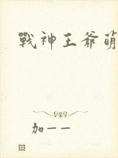 战神王爷萌虎妃