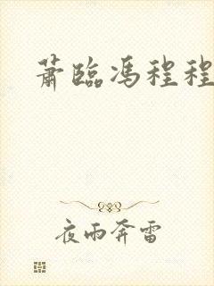 萧临冯程程小说