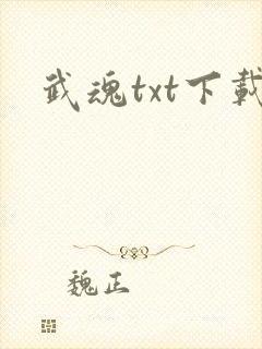 武魂txt下载